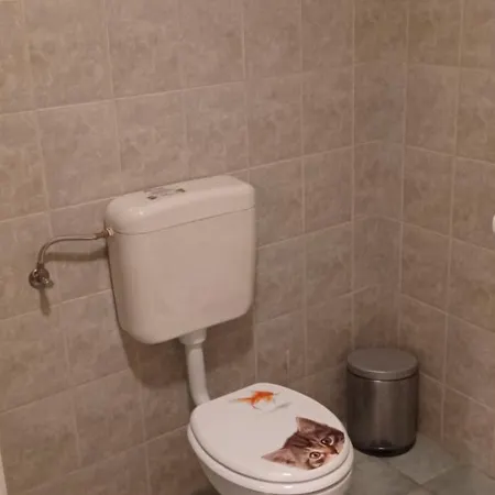 Kamenjak Free Bikes * Premantura