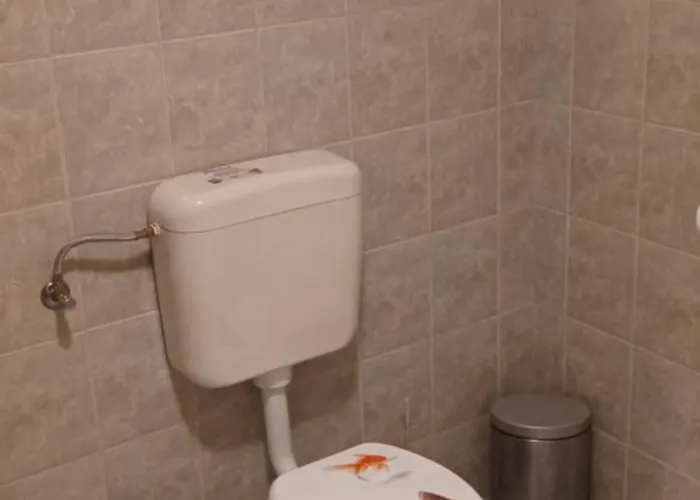 Kamenjak Free Bikes * Premantura